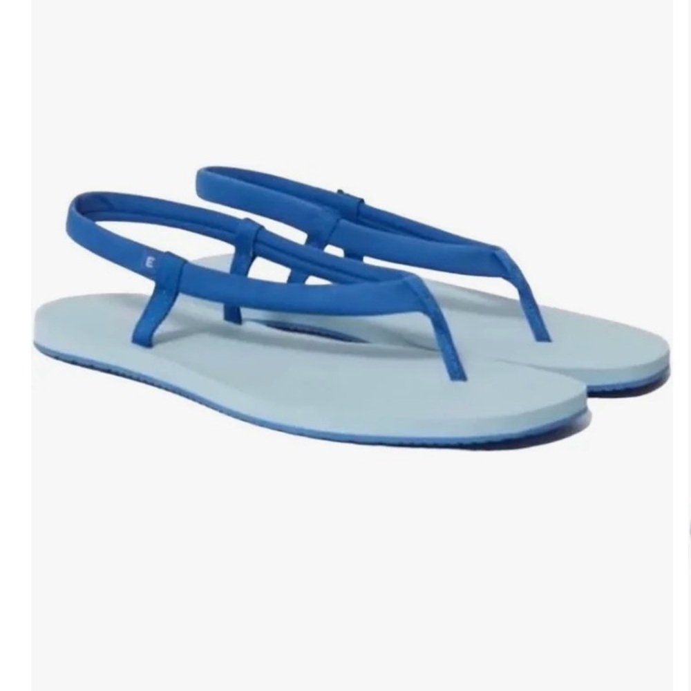Everlane The ReNew Strappy Sandal